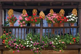 גינה במרפסת מבוססת בעיקר על גידול במיכלים כמו למשל עציצים, אדניות, קנקנים, מצעי גידול ואפילו סתם קופסאות"